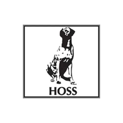 Hoss Consulting logo